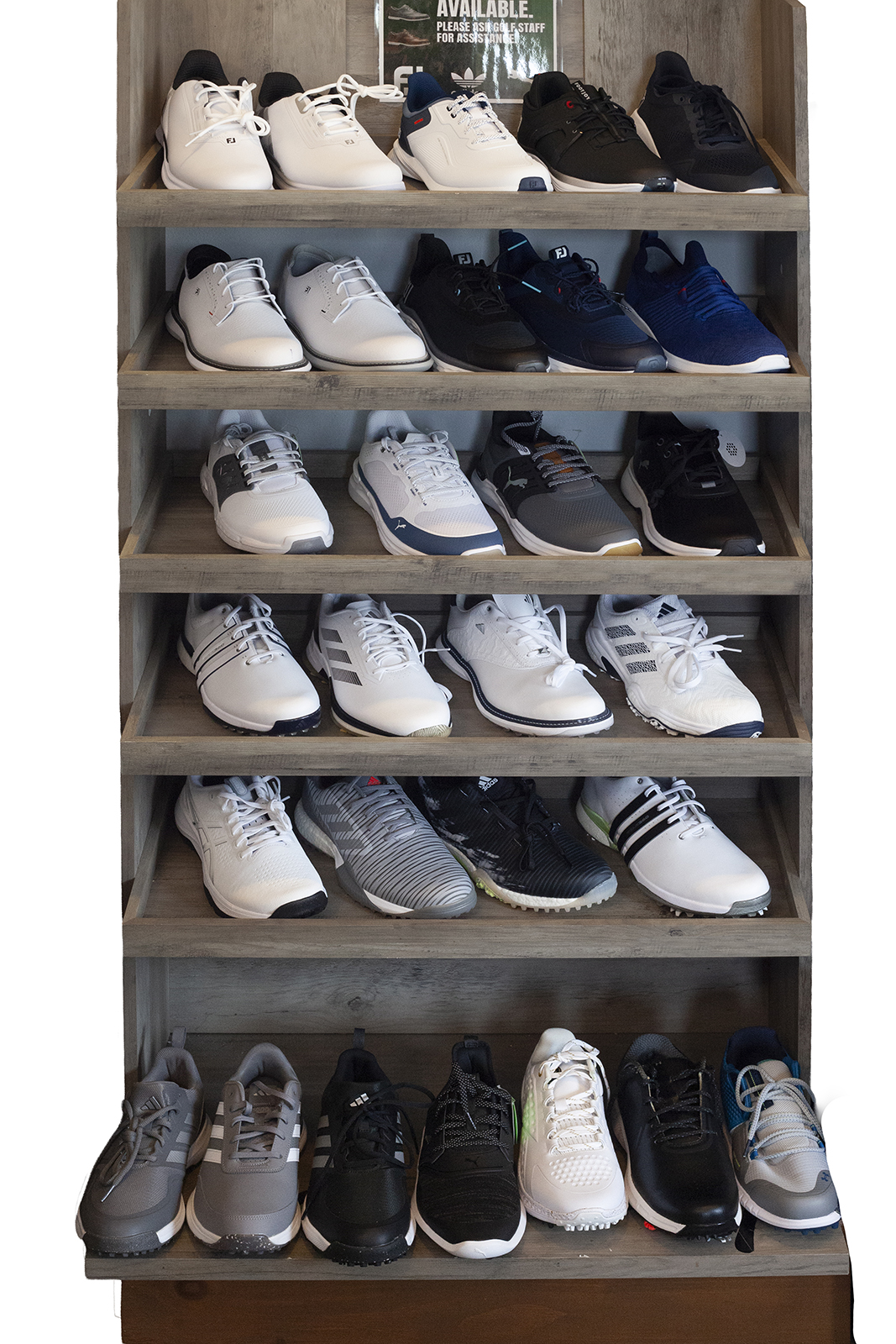 Golf Shoes Adidas FJ